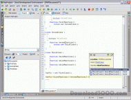 Zend Studio screenshot